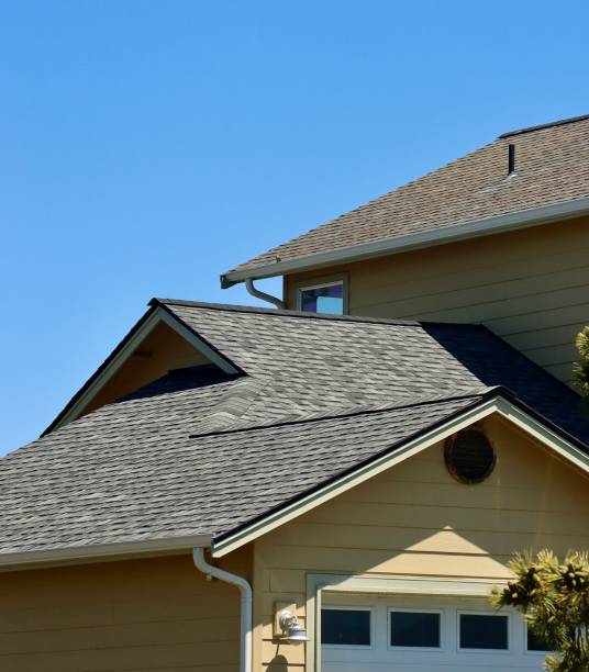 Best Roof Maintenance and Cleaning  in Bloomingdale, GA